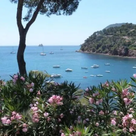 Le Parc Des Oiseaux * Six-Fours-les-Plages